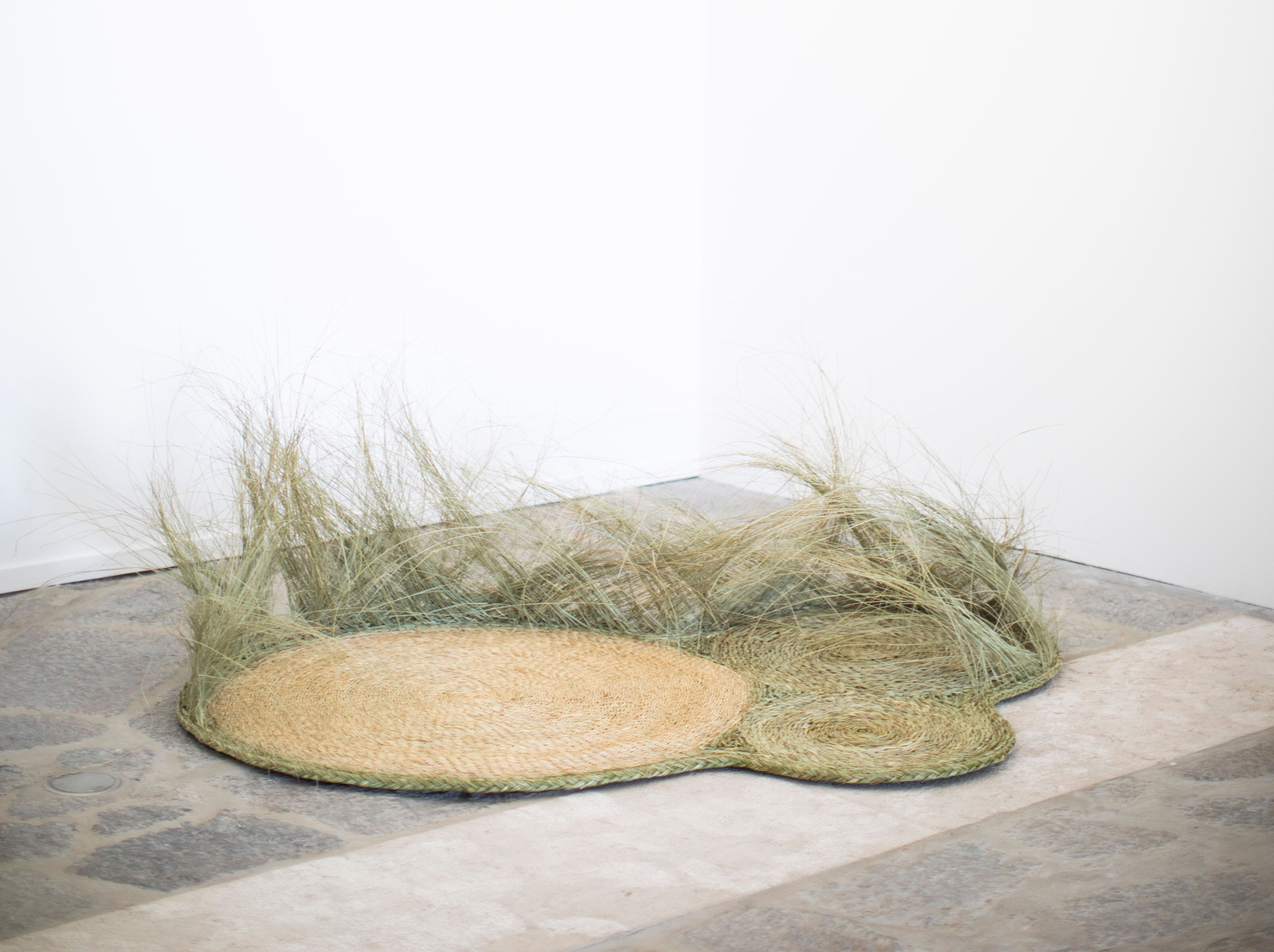 Clareira
173 x 115 x 51 cm
Giant oat, linen thread
Carpet installation at the Museum of Popular Art in Lisbon
© Jenna Duffy