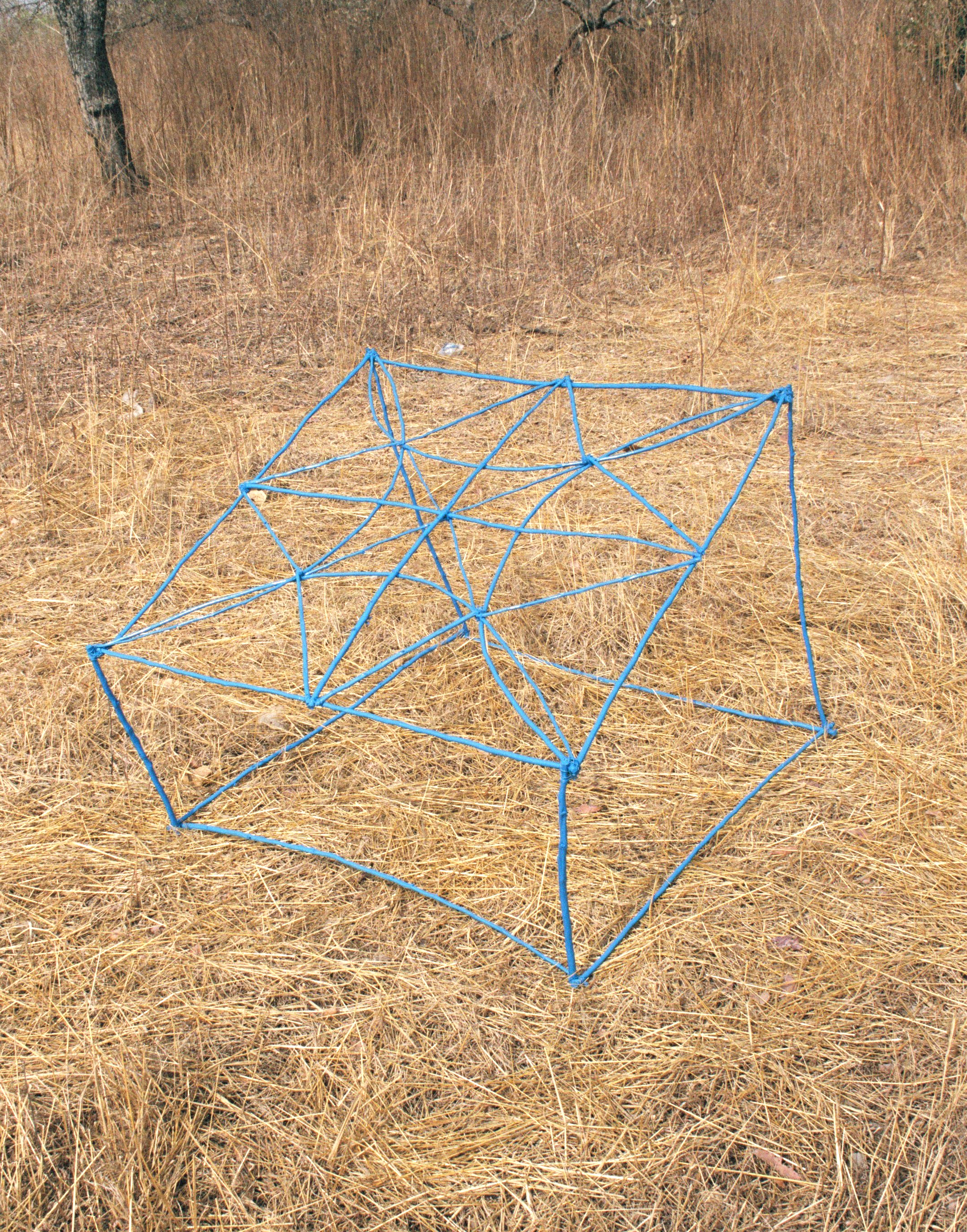 "Sun Trap No. 5"
wild wood, wire, exterior paint
100 x 100 x 65 cm