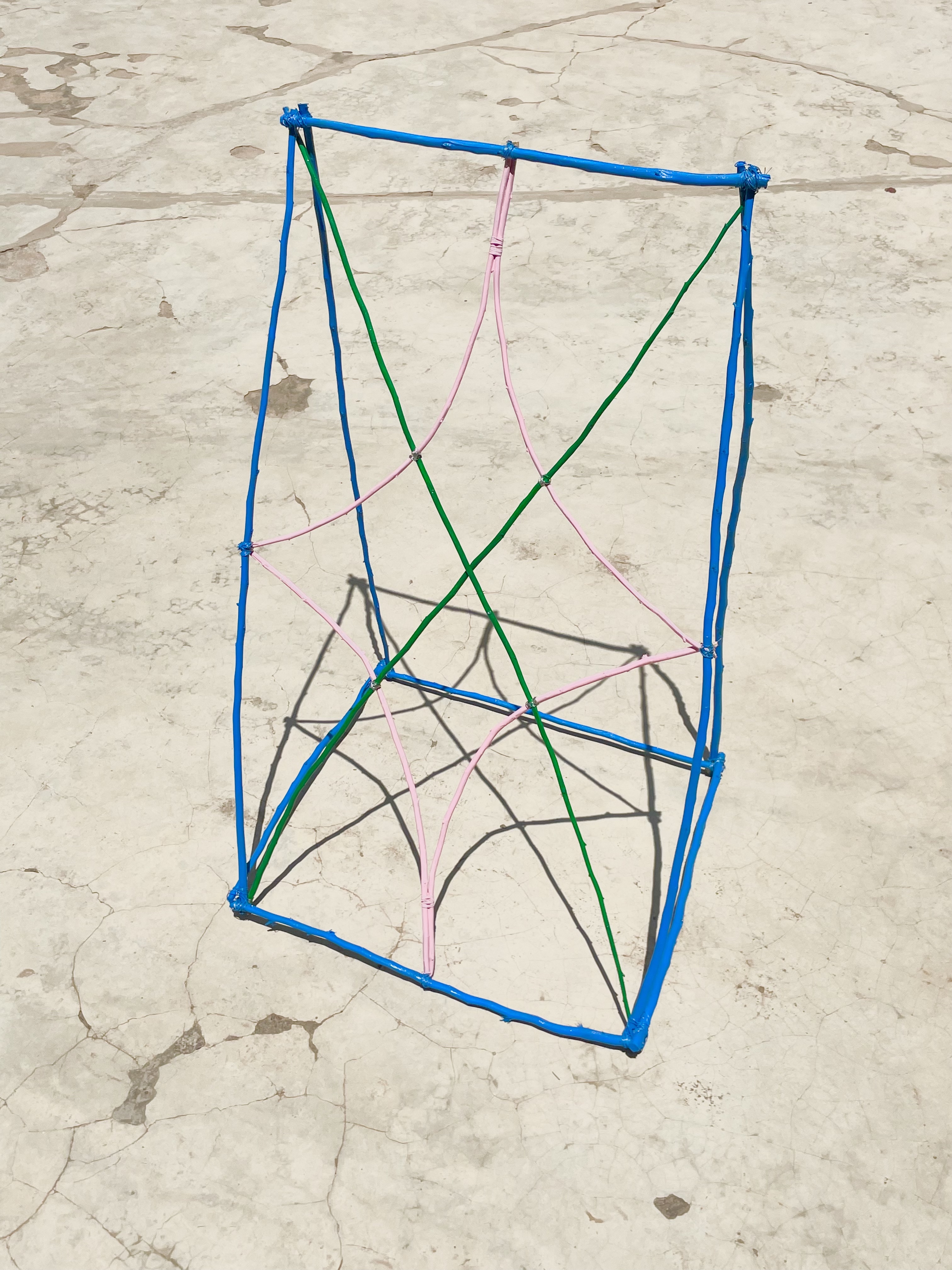 "Sun Trap No. 3"
wild wood, wire, exterior paint
80 x 35 x 30 cm